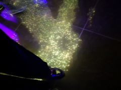 -哈尔滨波塞冬海底世界