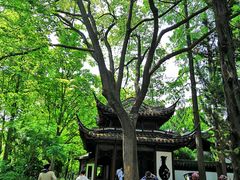 -汇龙潭