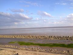 -南汇嘴观海公园