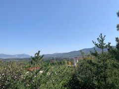 -原山国家森林公园