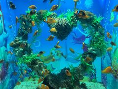 -烟台海昌鲸鲨海洋公园