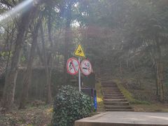 -上海佘山国家森林公园天马山园