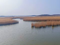 -南大港湿地风景区