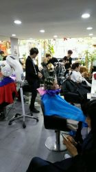 -SH名剪坊.造型设计