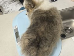 -美联众合24小时·皮肤科·外科·全科诊疗中心(华苑分院)