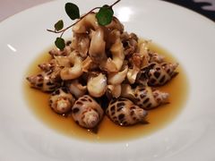 酒香花螺-屋里厢上海菜馆