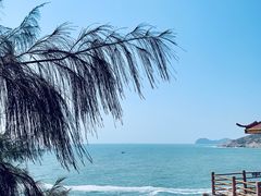 -广东惠东海龟国家级自然保护区