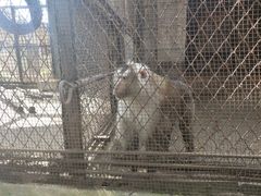 -昆明动物园