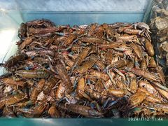 -川骄海鲜自助(河东店)