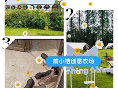 -前小桔亲子创意农场·草莓采摘·露营烧烤