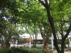 -浙江宾馆·花园餐厅·自助餐厅·茶吧