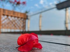 -福州天元国际威斯汀酒店·中国元素餐厅