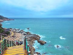 -广东惠东海龟国家级自然保护区