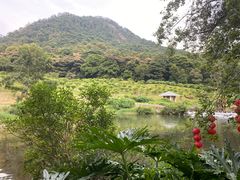 -广州市石门国家森林公园