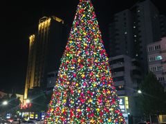 -猫姑娘大盘鸡(商城路店)