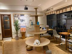 -猫小主咖啡·猫咖cat cafe(福田店)