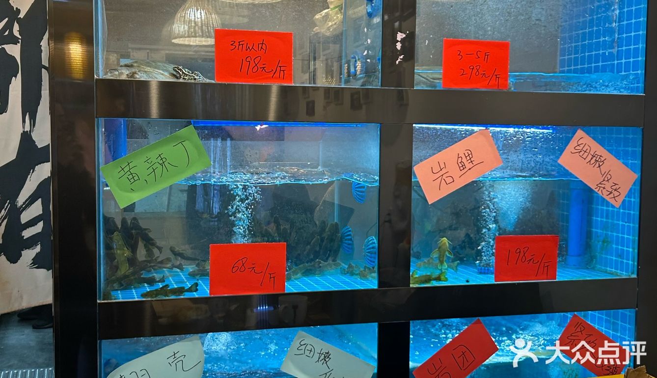 成都市区的鲜鱼馆🐟，真的有这么好吃❓