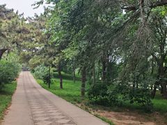 -元大都城垣遗址公园