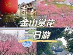-花开海上生态园