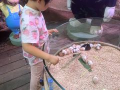 -正佳雨林生态植物园