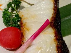 烤银鳕鱼-初花·日本料理