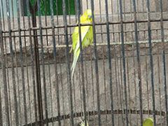 -老味道民宿(栈桥店)