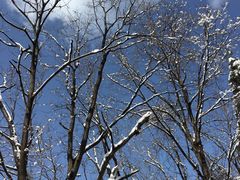 -终南山南五台景区