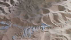 -恐龙探索乐园(磁器口店)