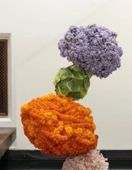 -天邑国际酒店·宴会厅