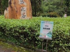 -广州白江湖森林公园