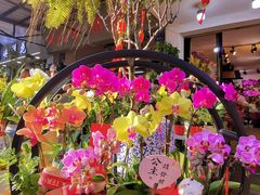 -溪岸路花鸟市场