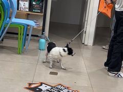 -佳雯宠物医院·皮肤科·内外科(春晓路分院)