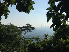 -火炉山森林公园