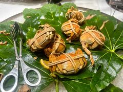 -太湖饭店玉兰厅(自助餐厅)