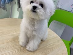 -佳雯宠物医院(金华南路分院)