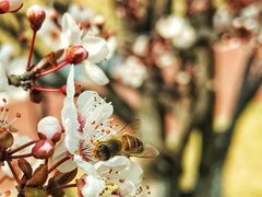 -两河城市森林公园