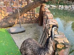 -J Create城市露营咖啡·简餐·宠物(上海动物园店)