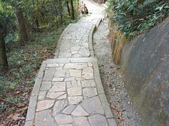 -阳台山森林公园