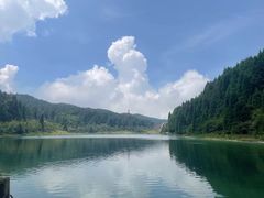 -武陵山森林公园