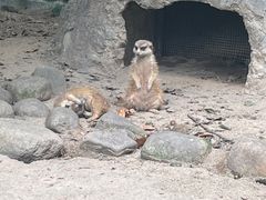 -上海野生动物园