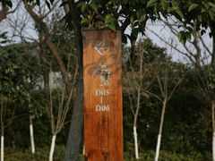 android_upload_pic-天目湖涵田度假村