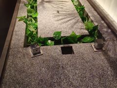 -新紫霞养生·影院足道·SPA(金山区店)