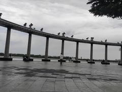 -人民防洪胜利纪念塔