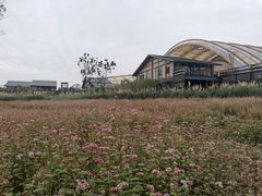 -中国天府农业博览园