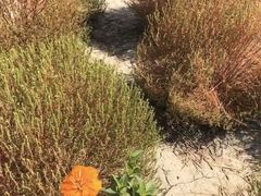 -映月湖中央公园