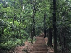-九曜山