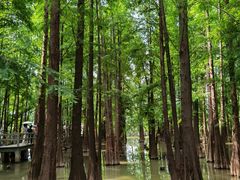 -星湖旅游景区七星岩