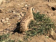 -秦皇岛野生动物园