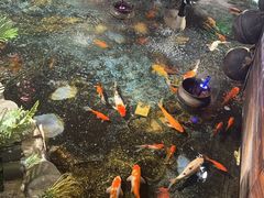 -鱼满舱·鲜活海鲜·正宗鲁菜