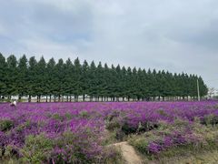-嘉北郊野公园